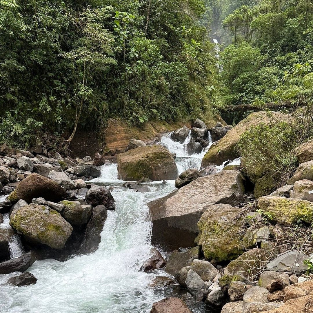 Cinchona Waterfall side view