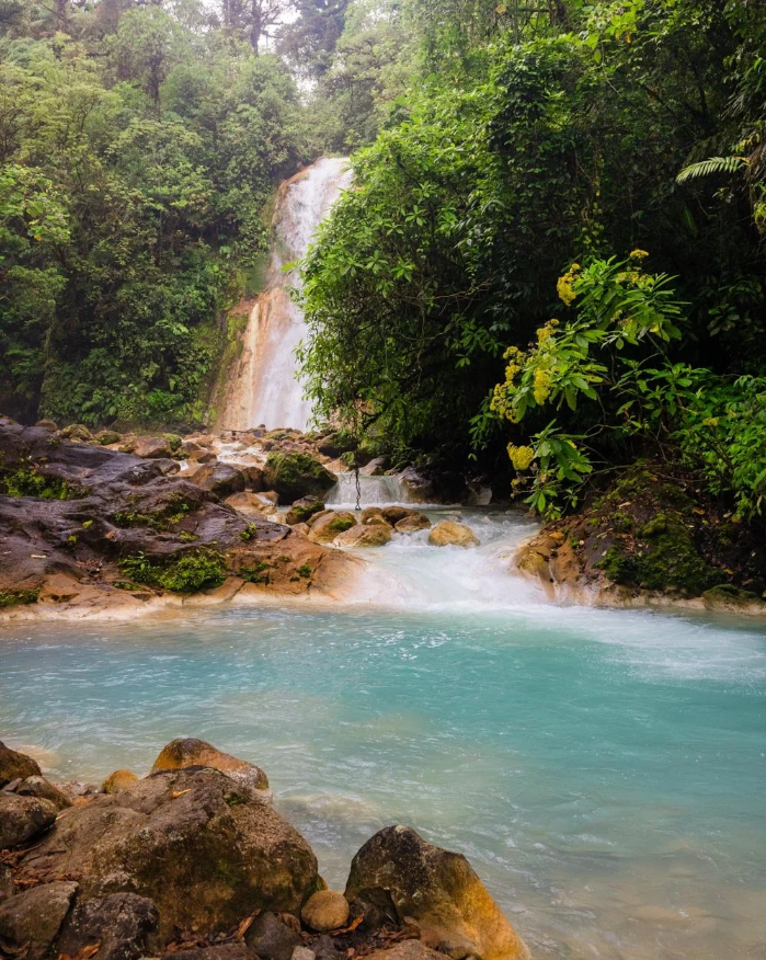 Lush rainforest trail leading to the waterfalls
