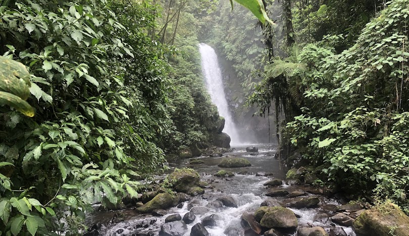 La Paz Waterfall Garden