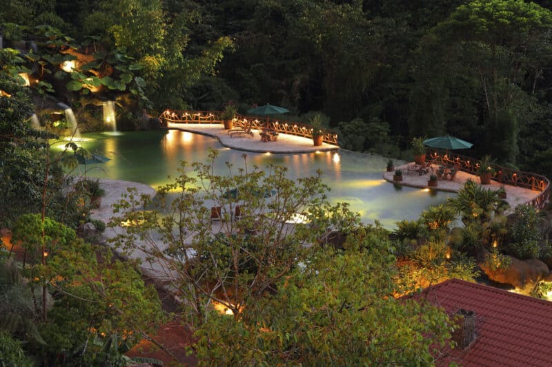 Beautiful butterfly in the conservatory